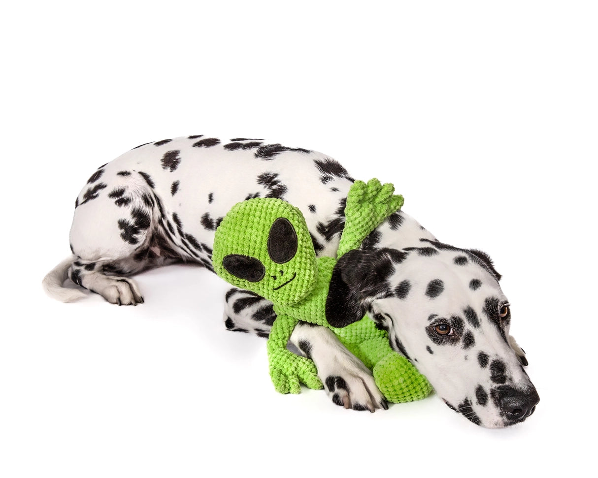 Alien Floppy Plush Dog Toy