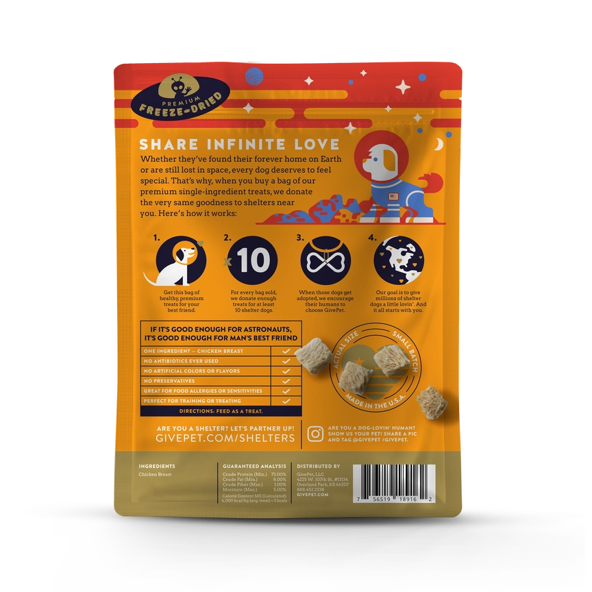 Mars Rover Dog Treats