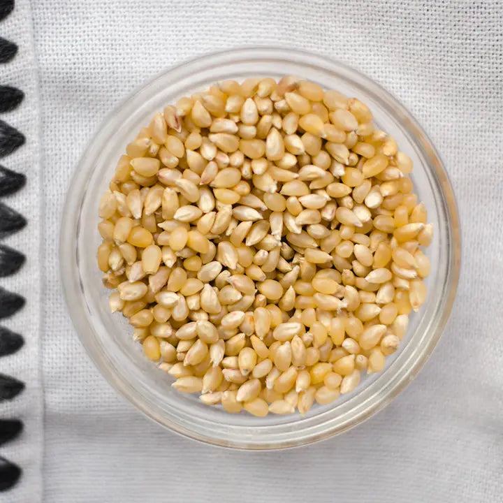Amish Country Baby Yellow Popcorn