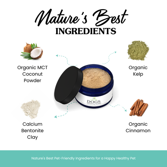 Clearly TEETH & GUMS for Dogs, Natural Toothpaste Powder