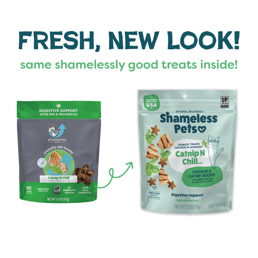 Catnip N Chill Crunchy Cat Treats - Chicken