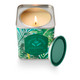 Jungle Green Magnolia Tin Candle