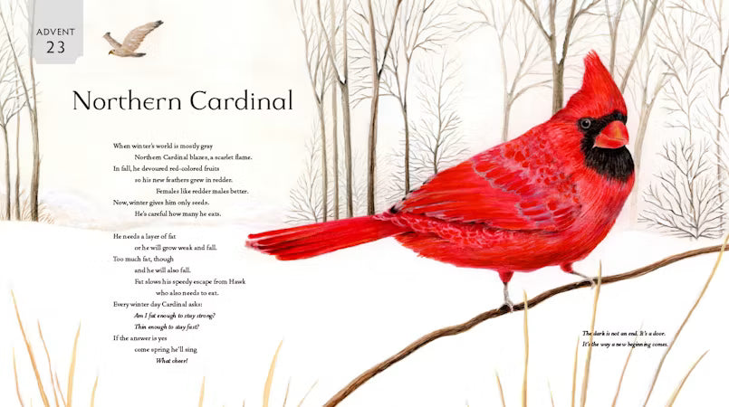 All Creation Waits — Children's Book