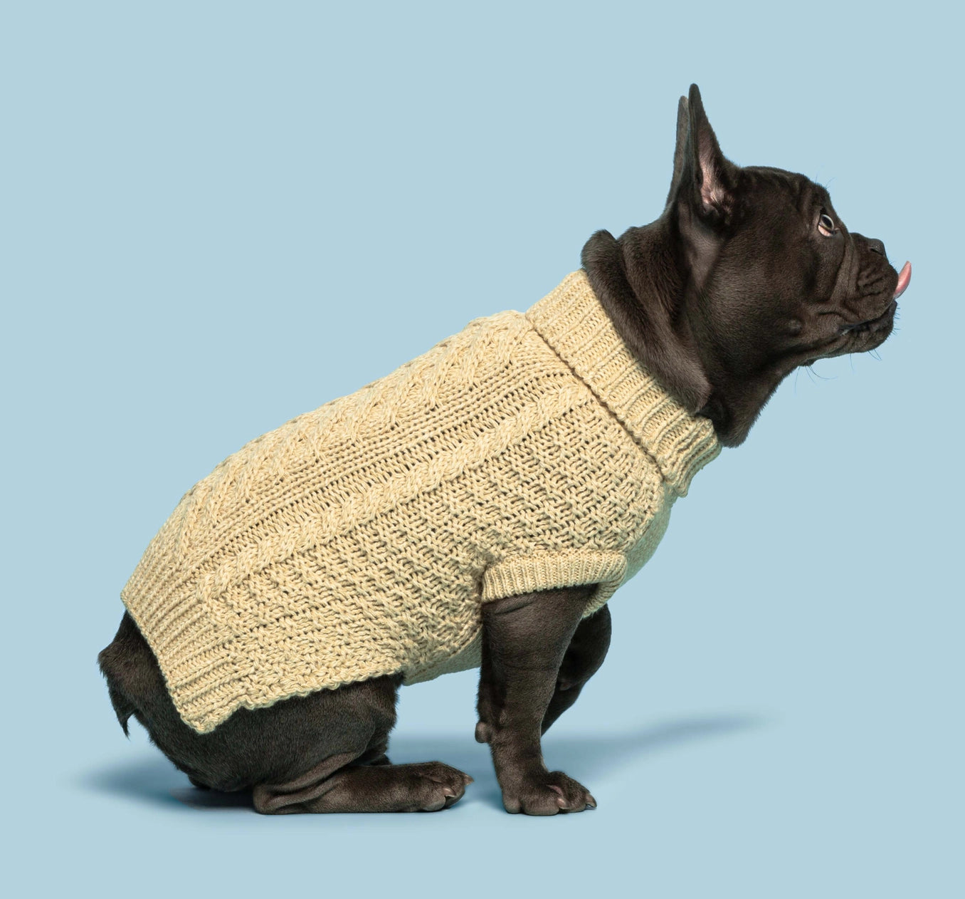 Chunky Oatmeal Pet Sweater
