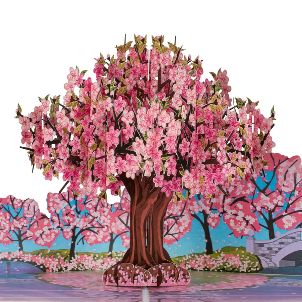 Pink Cherry Blossom Tree Pop Up Card