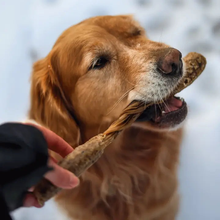 Dogginstix - Lamb Collagen Barbell