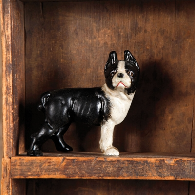 Tyson the Boston Terrier - Cast Iron