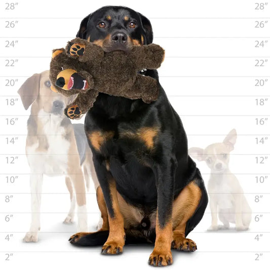 Mighty Angry Animals Bear - Squeaky Dog Toy