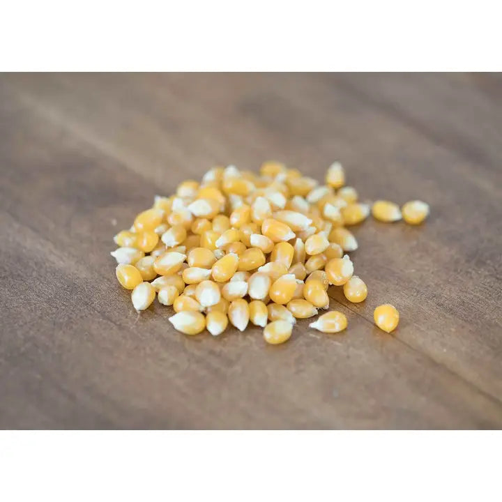 Amish Country Medium Yellow Popcorn