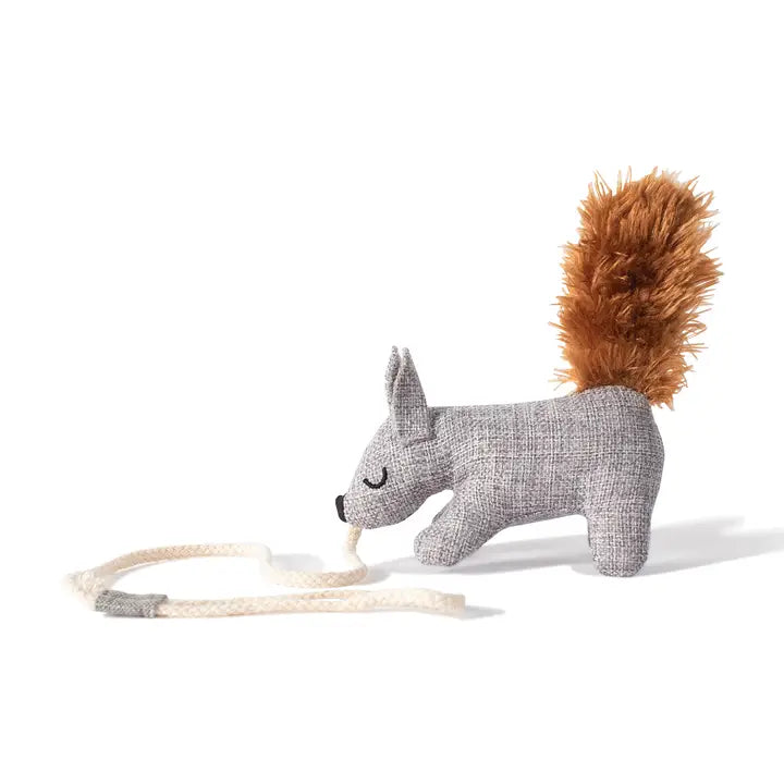 Cat Toy One Tuff Nut