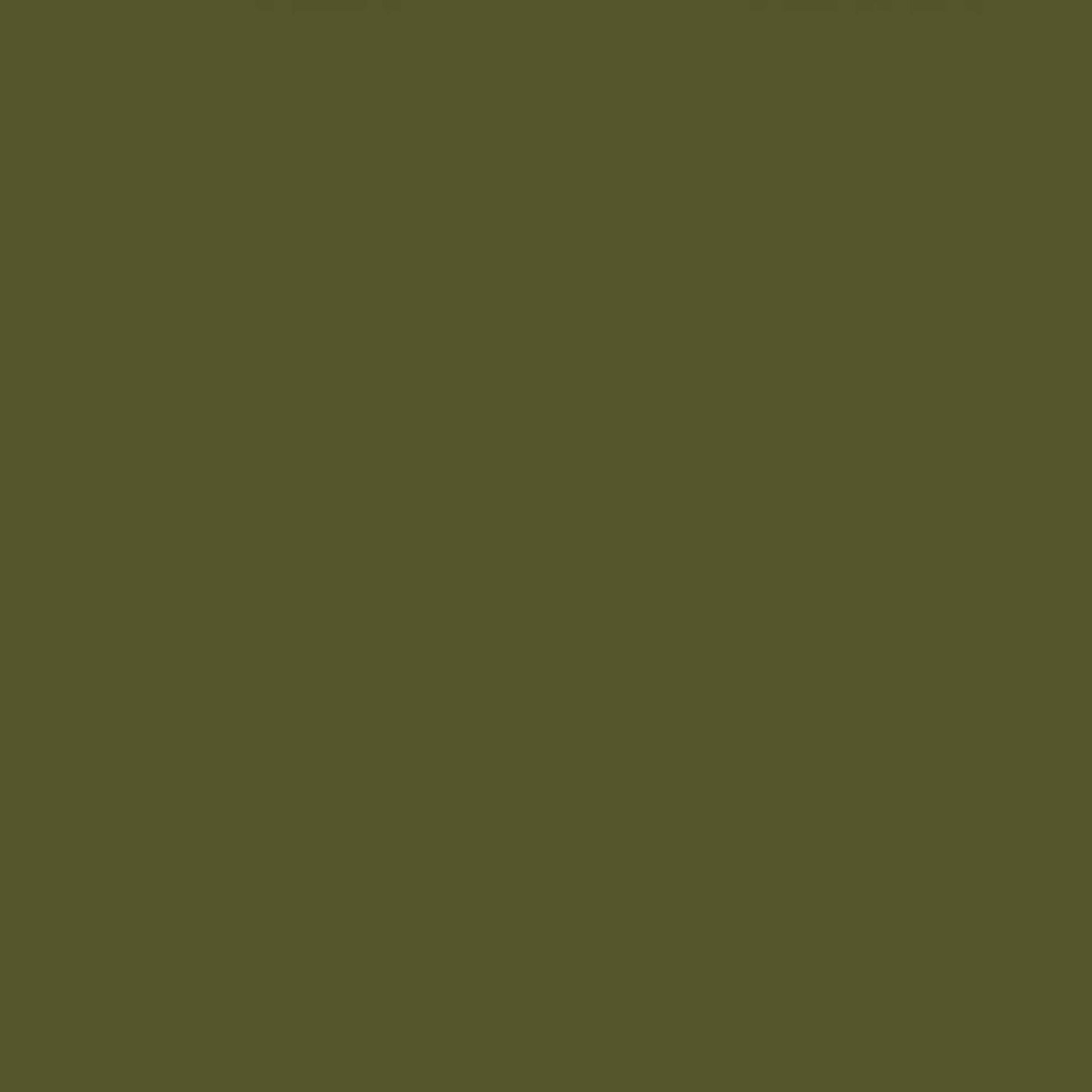 Unscented 10" Taper Candles Set of 2 - Olive