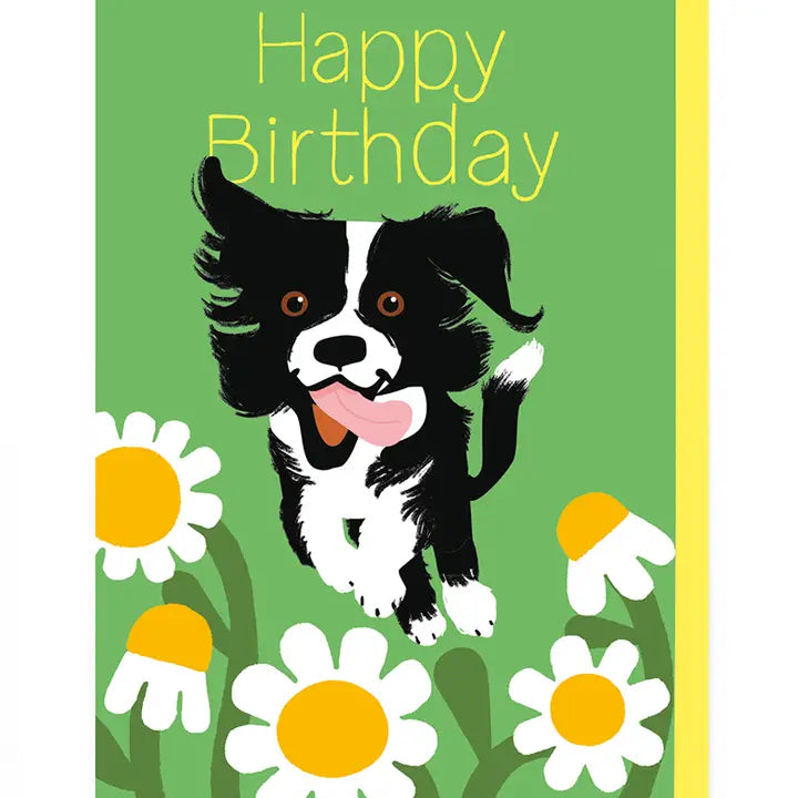 Happy Birthday Dog & Daisy Greeting Card