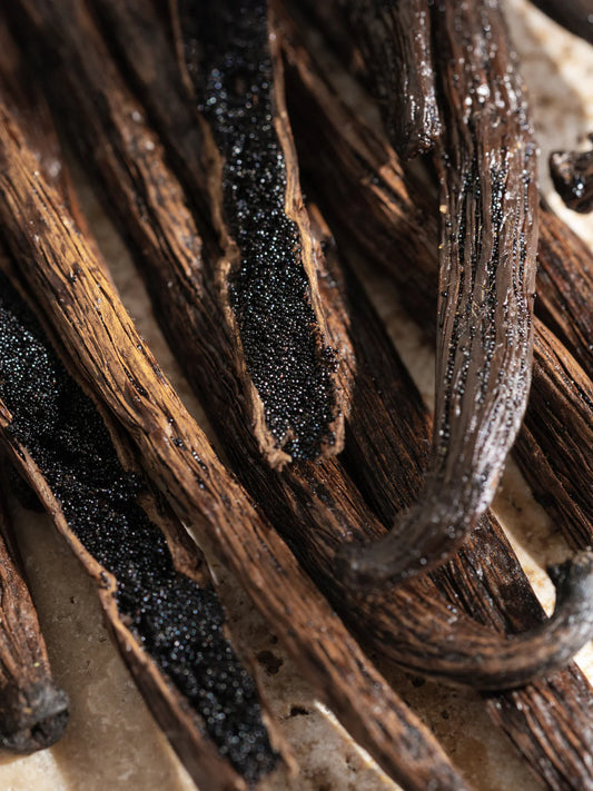 Pura Fragrance Refill Moodcast - Homebody