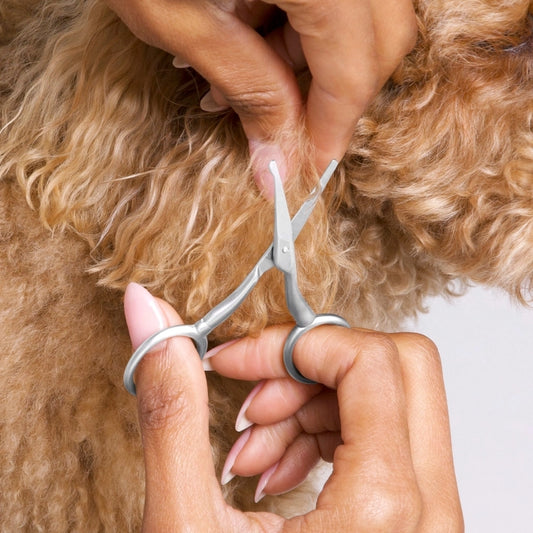 Pet Safety Tip Trimming Scissors