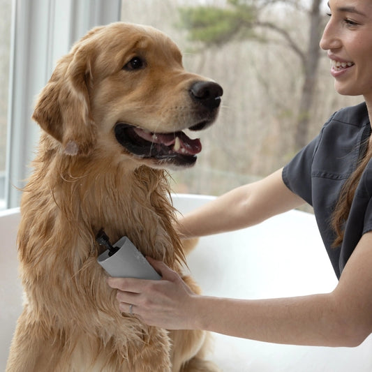 Pet 2-In-1 Shampoo Dispensing Bath Brush