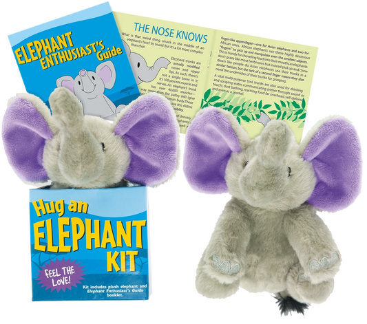 Hug An Elephant Kit