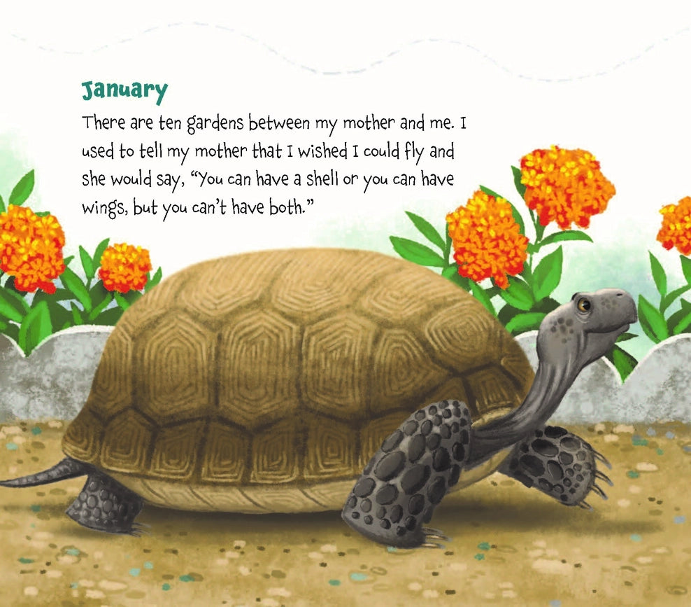 Childrens Book: Memoirs of A Tortoise