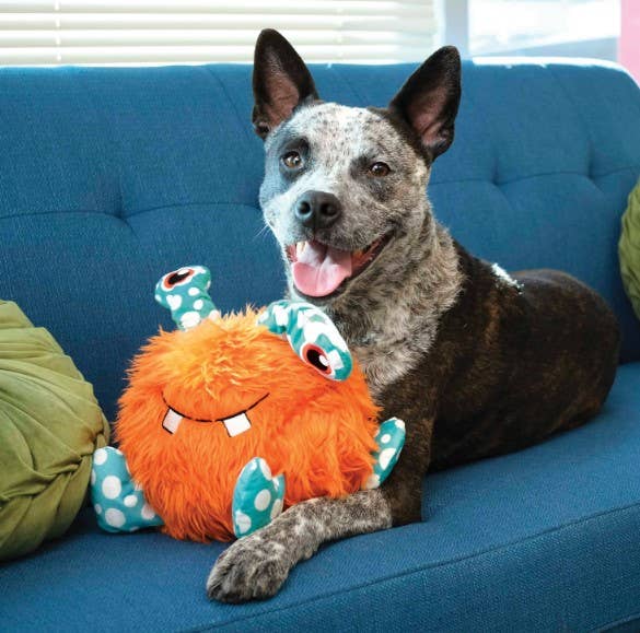 KONG® Whipples Plush Toy - XL