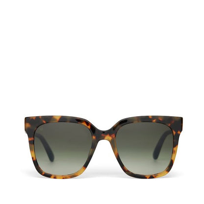 TOMS Natasha Tortoise Sunglasses