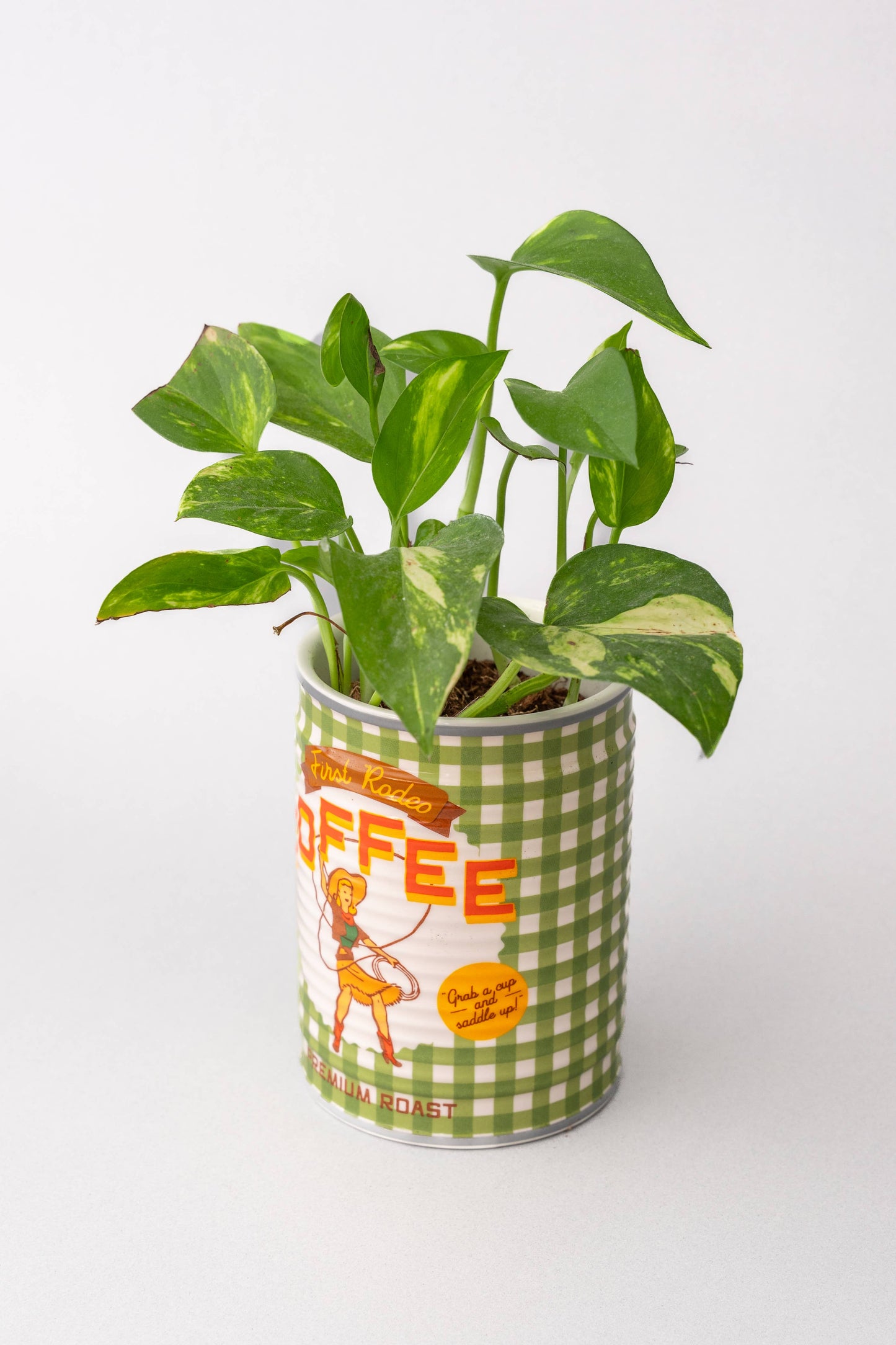 Coffee Cowgirl Ceramic Planter