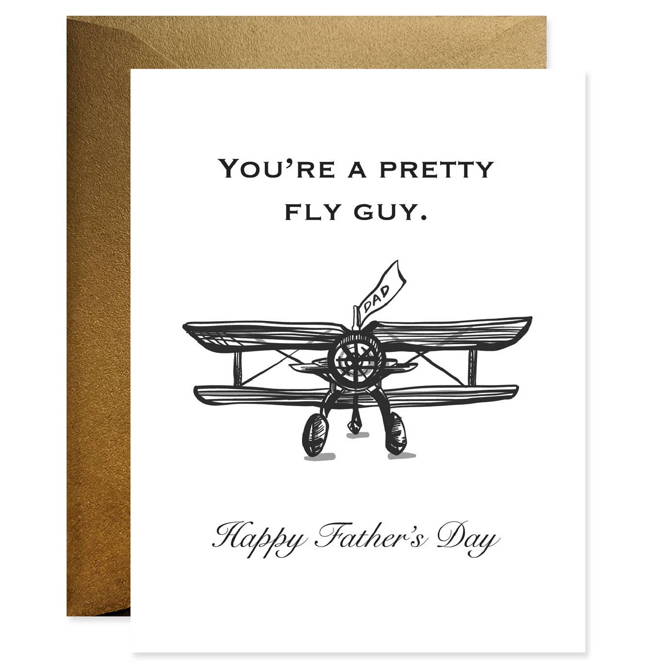 Fly Guy Father's Day Card