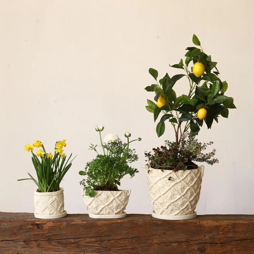 Macrame Oval Cement Planter