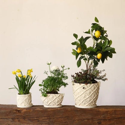 Macrame Round Cement Planter