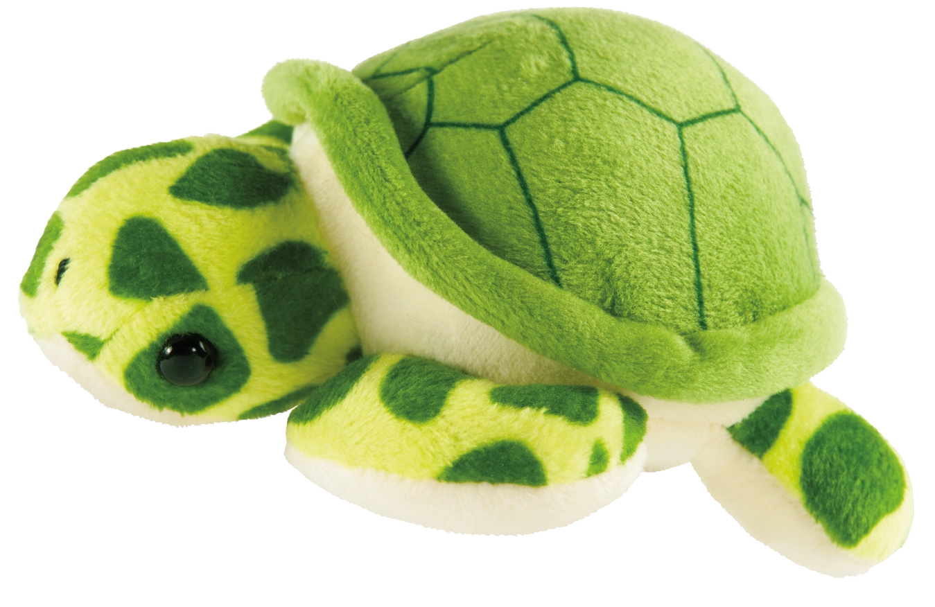 Peter Pauper Press Inc. Hug A Sea Turtle Kit