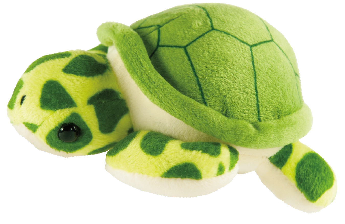 Hug A Sea Turtle Kit