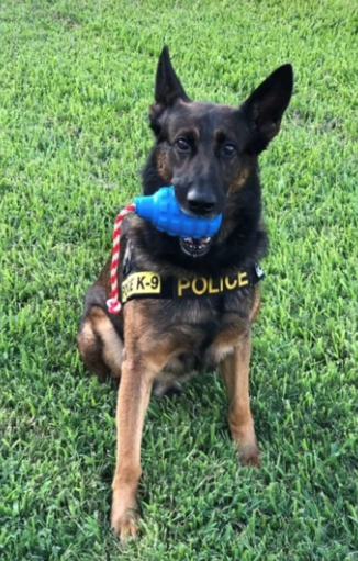 USA-K9 Grenade Chew Toy