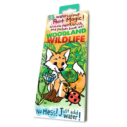 Paint Magic – Woodland Wildlife
