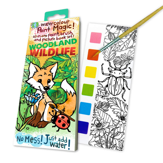 Paint Magic – Woodland Wildlife