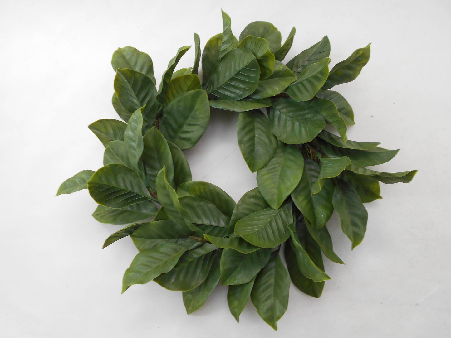 22" Green Magnolia Leaf Wreath