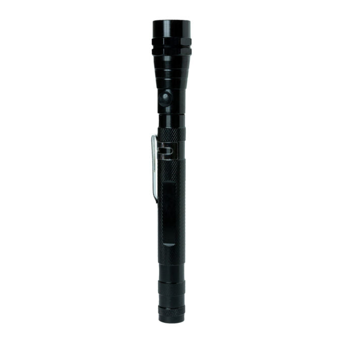 Junior Adventurer's Multi-Use Torch Flashlight