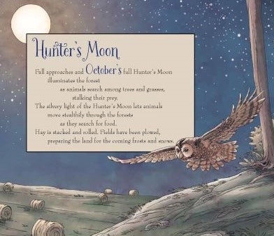 Childrens Book: Full Moon Lore