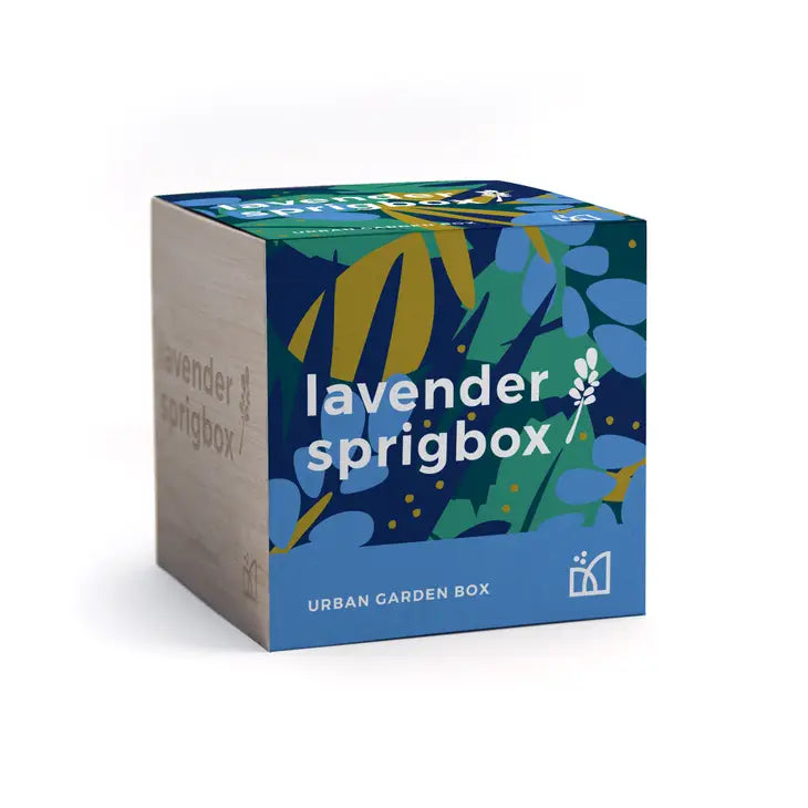 Springbox Grow Kit - Lavender