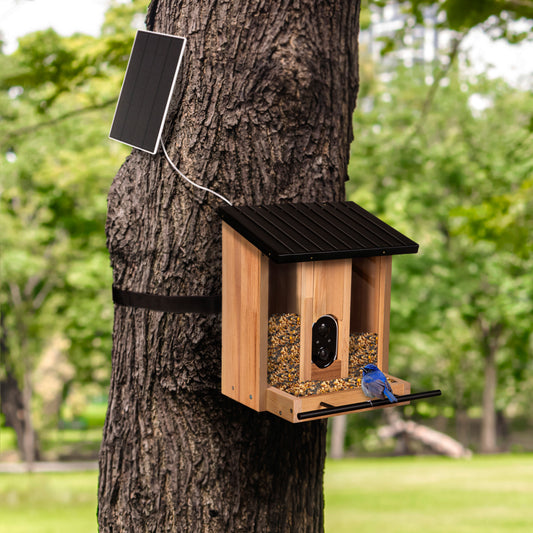 BirdsIVue Solar Wood Bird Feeder