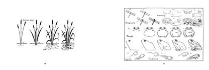 What to Draw and How to Draw It