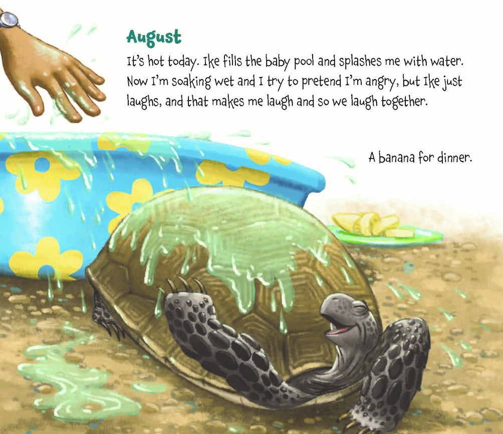 Childrens Book: Memoirs of A Tortoise