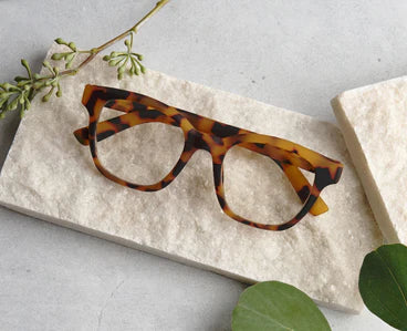 Peepers Zinnia Tortoise Progressive Readers