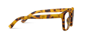 Peepers Zinnia Tortoise Progressive Readers
