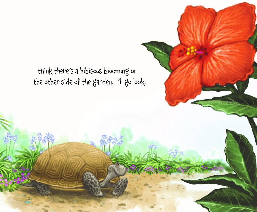 Childrens Book: Memoirs of A Tortoise