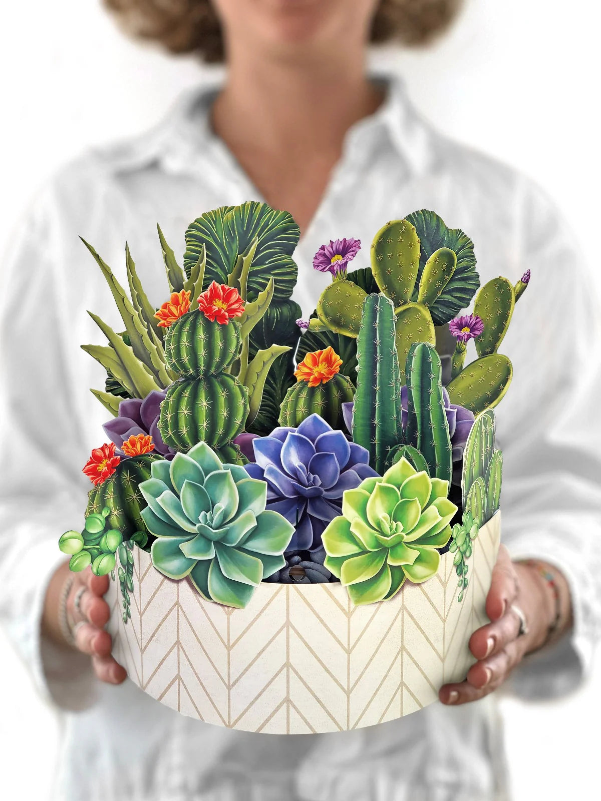 Cactus Garden Pop-Up Bouquet Blank Greeting Card