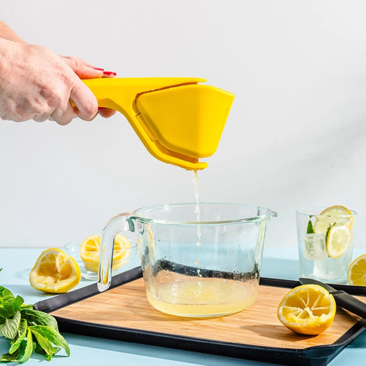 Fluicer Easy Squeeze Space-Saving Juicer