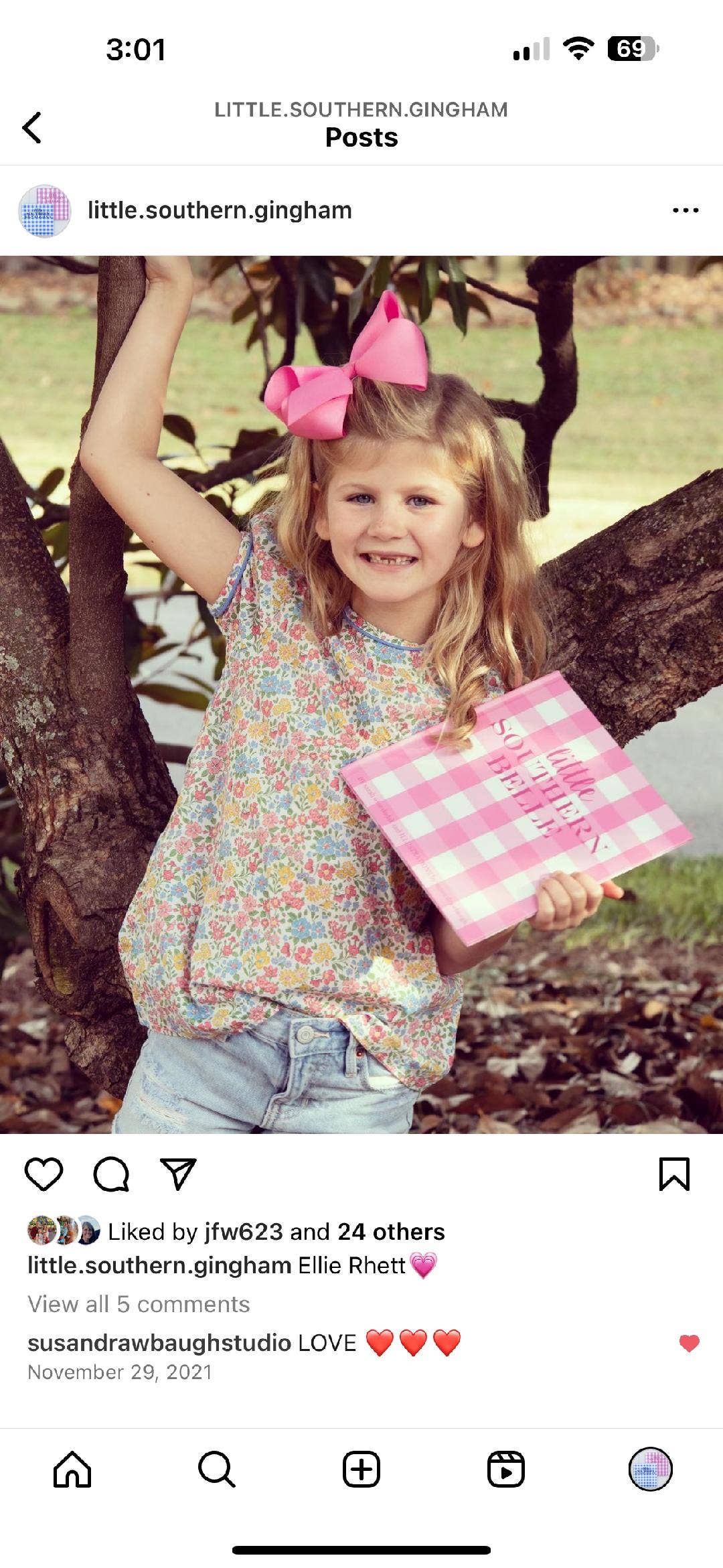 Children's Book: Little Southern Belle