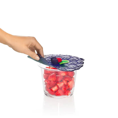 Blackberry Airtight Lid