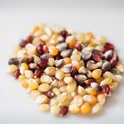 Amish Country Rainbow Popcorn