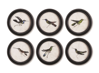 Hummingbird Round Petite Round Prints