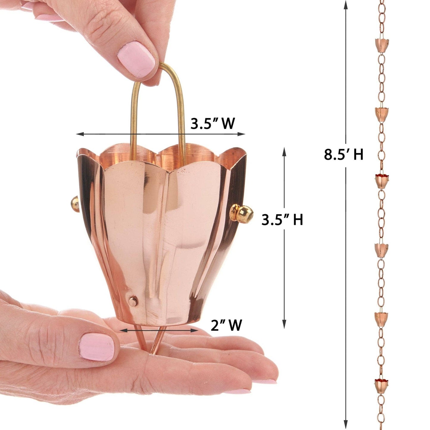 Crocus Rain Chain