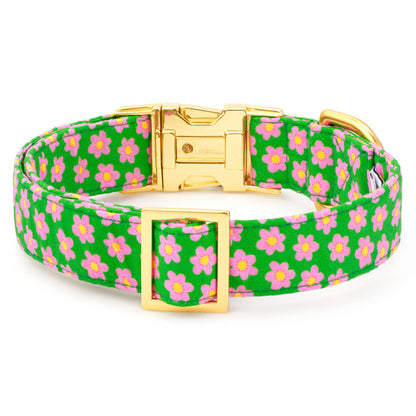 The Foggy Dog Flower Power Summer Dog Collar